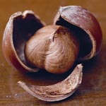 ヘーゼルナッツの実 Hazelnuts