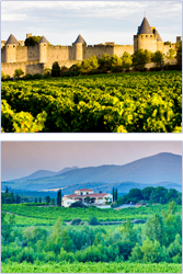 Languedoc
