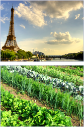 Île-de-France