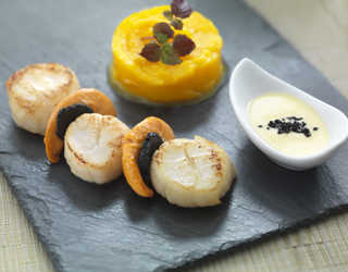 Recipe - Seared scallops with truffle shavings, butternut squash purée, creamy sauce with truffle Recipe - Seared scallops with truffle shavings, butternut squash purée, creamy sauce with truffle