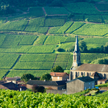 Formation Management du Vin - food and wine paring - wine management master