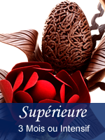 Le Diplôme de pâtisserie Le Cordon Bleu, cours de patisserie française supérieure