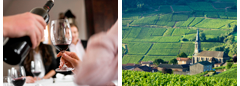 Visit to French Vineyards