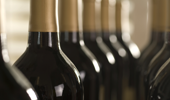 Wines of the World - oenology class
