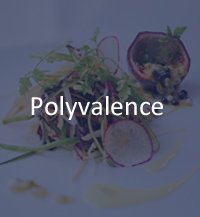 polyvalence chef cuisinier