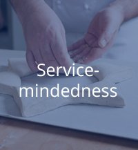 service mindedness