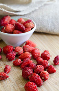 Fraises des bois