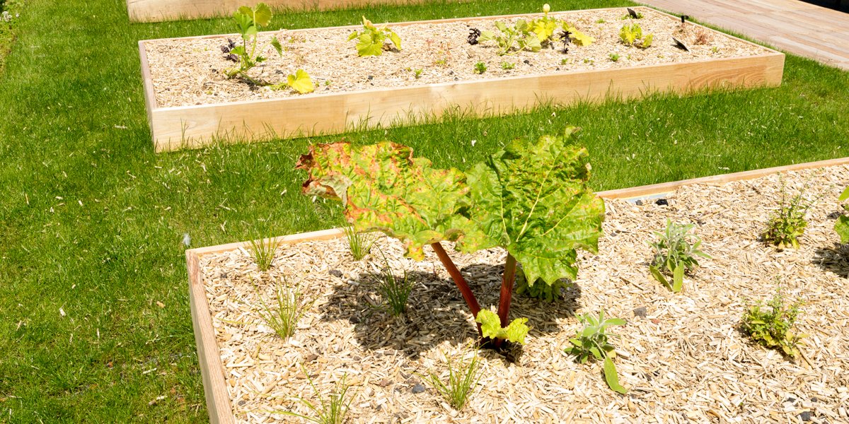 garden Rooftop at Le Cordon Bleu Paris