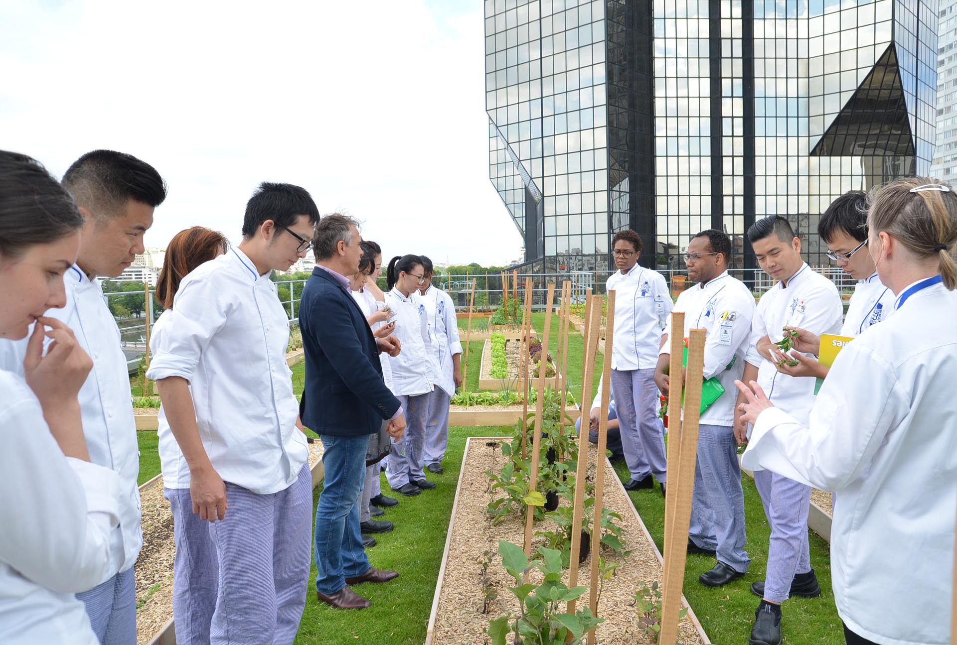 Vegetable garden lesson at Le Cordon Bleu Paris