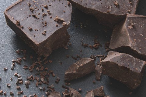 食材研究講座 チョコレート