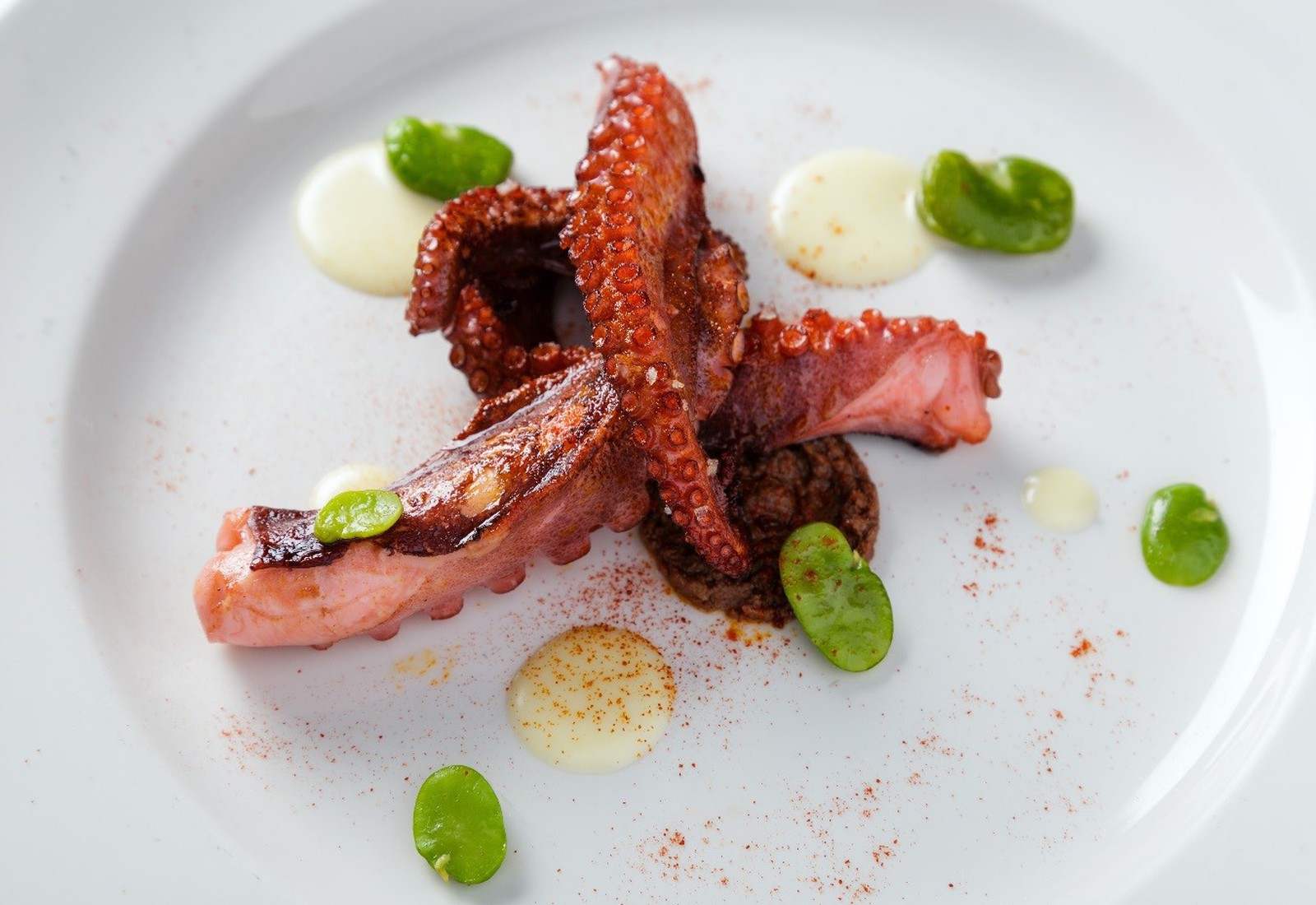 pulpo