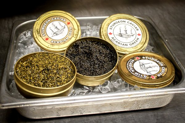Caviar Seminar - Le Cordon Bleu Ottawa