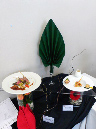 STEPHEN'S%20PESENTATION%20TABLE
